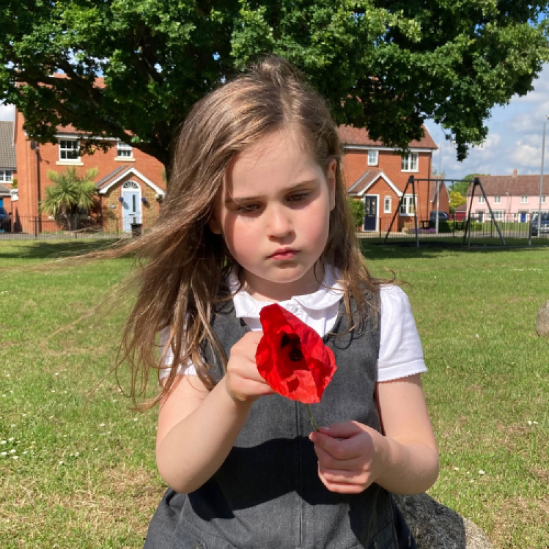 Bereaved military child in school uniform holding a poppy for Remembrance