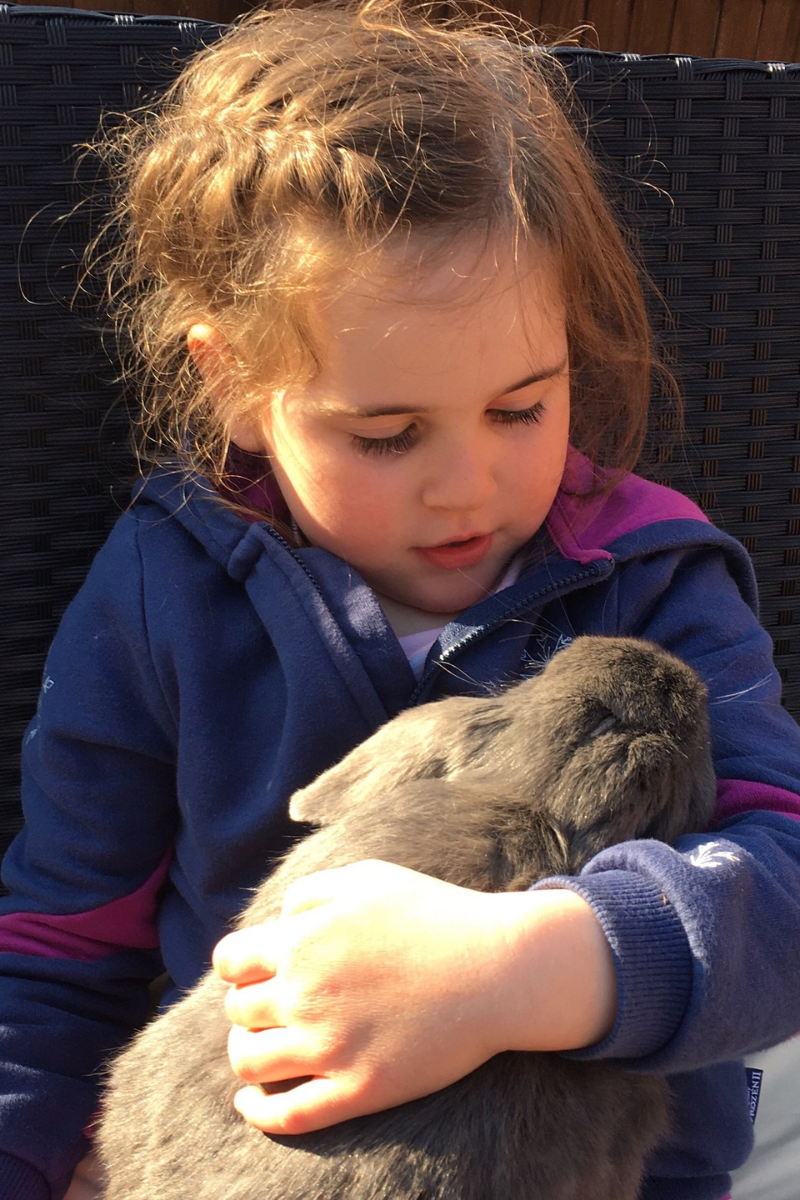 How pets can help children to cope with grief and loss | Scotty's Little  Soldiers